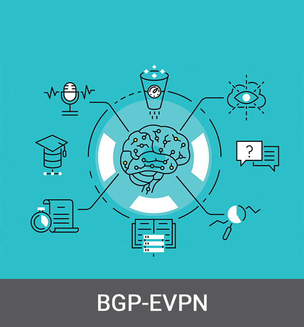 دوره آموزشی سیسکو BGP-EVPN