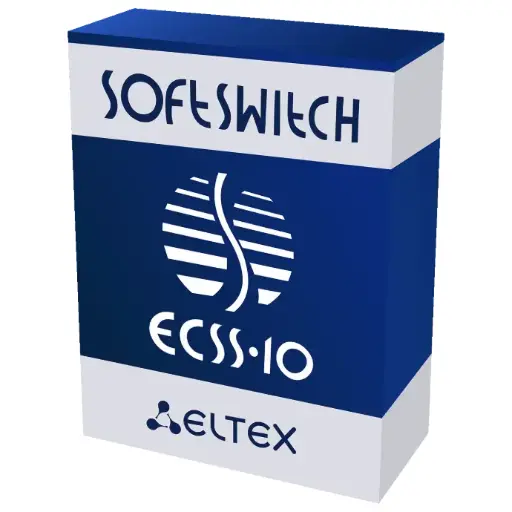 ECSS-10